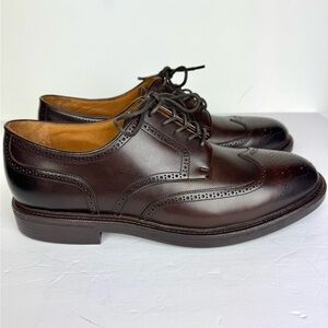 Polo Ralph Lauren Brown Leather Asher Wingtip Oxford Men’s Shoes Size 13 NEW
